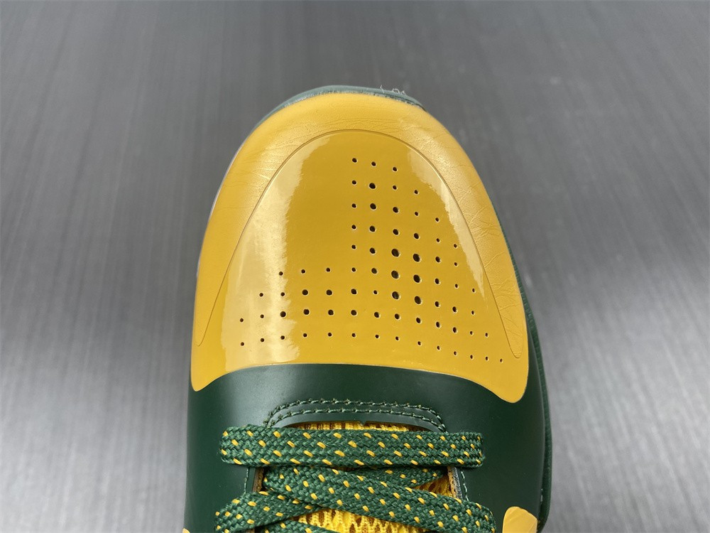 nike zoom kobe 5 