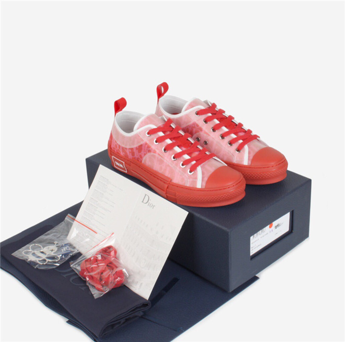 D*or b23 oblique low top sneaker