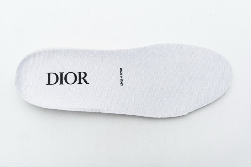 D*or b23 oblique low sneaker