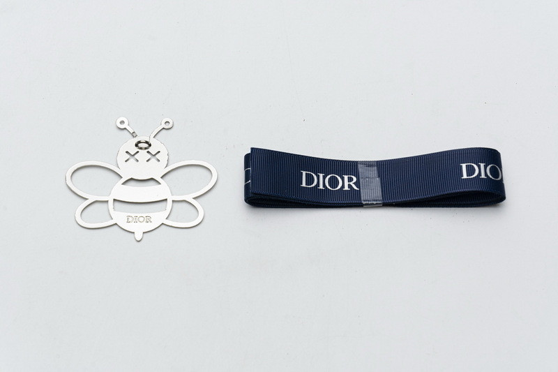 D*or b23 oblique low sneaker
