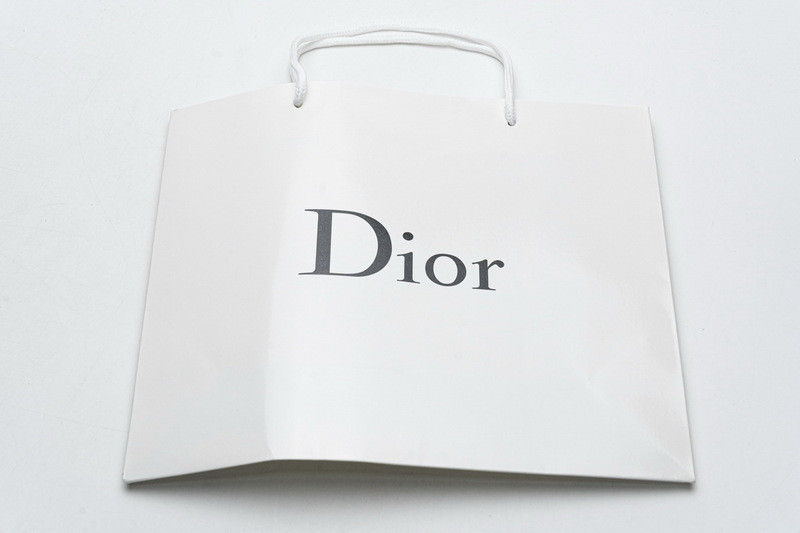 D*or b23 oblique low sneaker