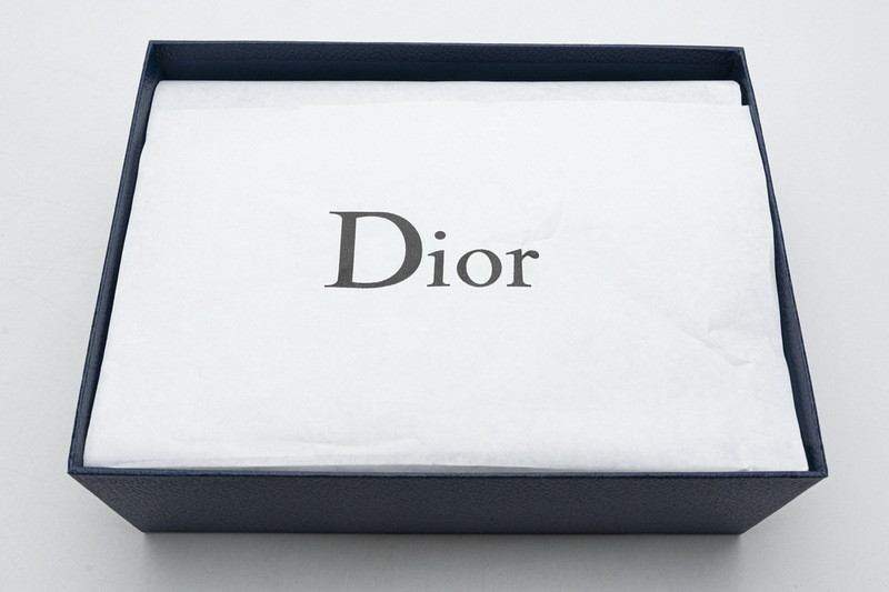 D*or b23 oblique low sneaker