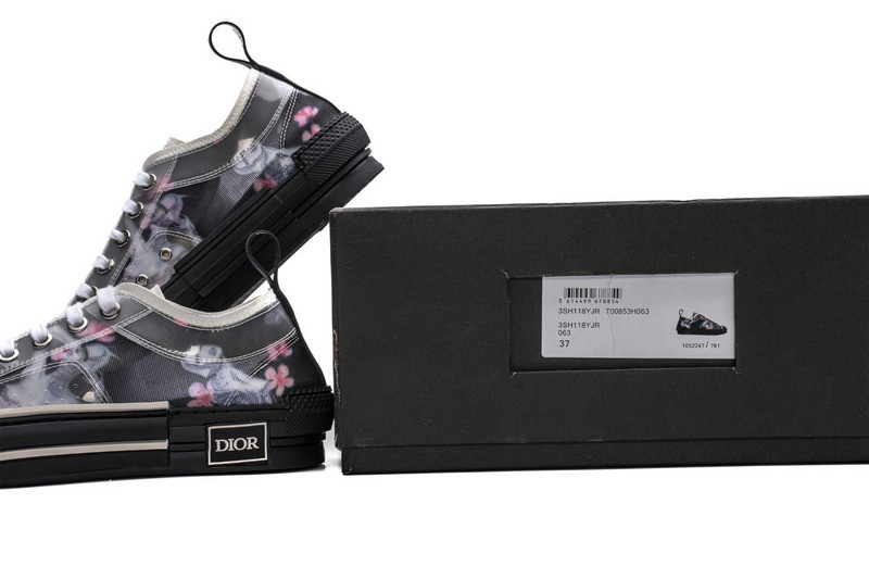 D*or b23 oblique low top sneaker t00853h063